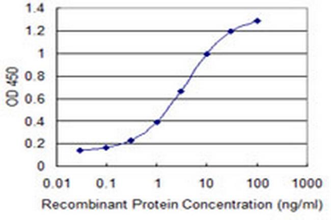 SLC6A11 Antibody in ELISA (ELISA)