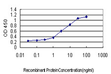 SPP1 Antibody in ELISA (ELISA)