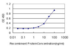 SPP1 Antibody in ELISA (ELISA)