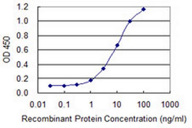 SULT1A3 Antibody in ELISA (ELISA)