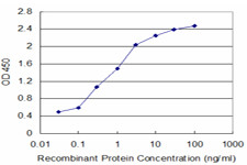 TAF7 Antibody in ELISA (ELISA)