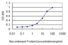 MAP3K7 Antibody in ELISA (ELISA)