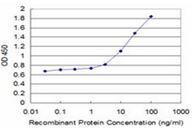 TAP1 Antibody in ELISA (ELISA)