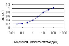 TEK Antibody in ELISA (ELISA)