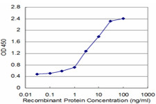 TPT1 Antibody in ELISA (ELISA)