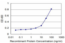 TTK Antibody in ELISA (ELISA)