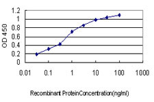 TTN Antibody in ELISA (ELISA)