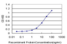 ZNF24 Antibody in ELISA (ELISA)