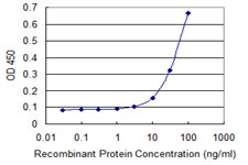 EOMES Antibody in ELISA (ELISA)