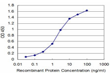 FADD Antibody in ELISA (ELISA)