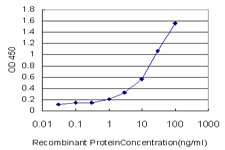 APLN Antibody in ELISA (ELISA)