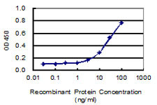 TRPA1 Antibody in ELISA (ELISA)