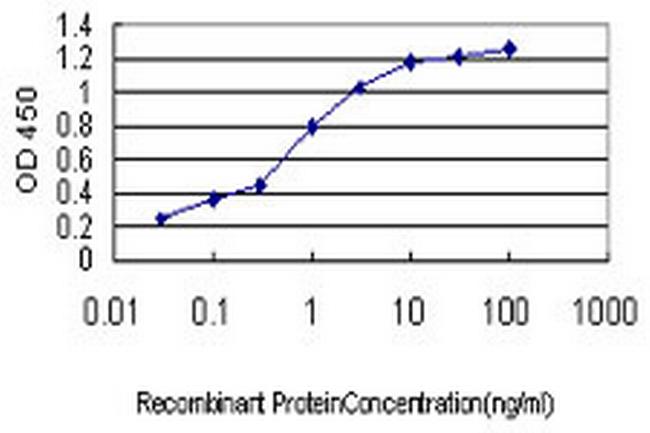 MAP4K4 Antibody in ELISA (ELISA)