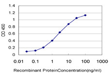 MAP4K4 Antibody in ELISA (ELISA)