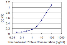 IKBKE Antibody in ELISA (ELISA)