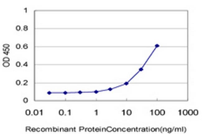 IL18BP Antibody in ELISA (ELISA)