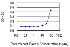 PRSS21 Antibody in ELISA (ELISA)