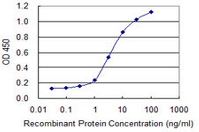 DMC1 Antibody in ELISA (ELISA)