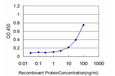 HSPB8 Antibody in ELISA (ELISA)