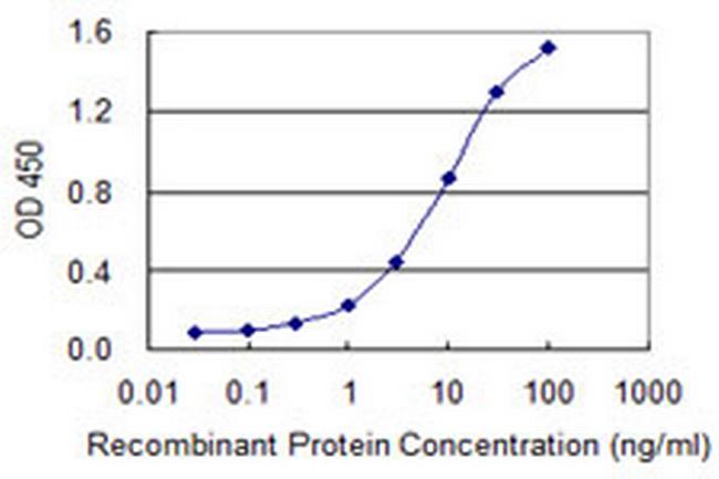 FIS1 Antibody in ELISA (ELISA)