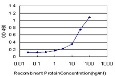 SERPINA10 Antibody in ELISA (ELISA)