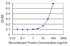 ENAH Antibody in ELISA (ELISA)