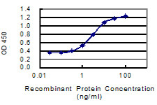 AVPI1 Antibody in ELISA (ELISA)