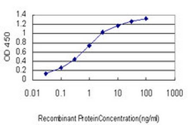 MCPH1 Antibody in ELISA (ELISA)