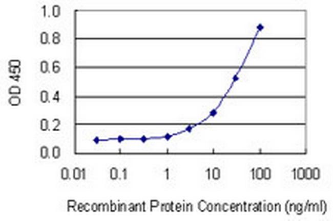 RAB34 Antibody in ELISA (ELISA)