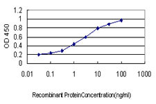 FBXL10 Antibody in ELISA (ELISA)