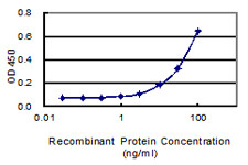 ZNF160 Antibody in ELISA (ELISA)