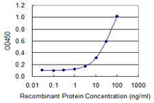 FOXQ1 Antibody in ELISA (ELISA)