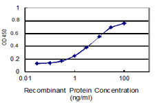 FSIP1 Antibody in ELISA (ELISA)