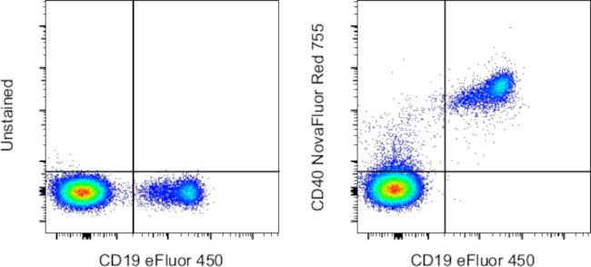 CD40 Antibody in Flow Cytometry (Flow)