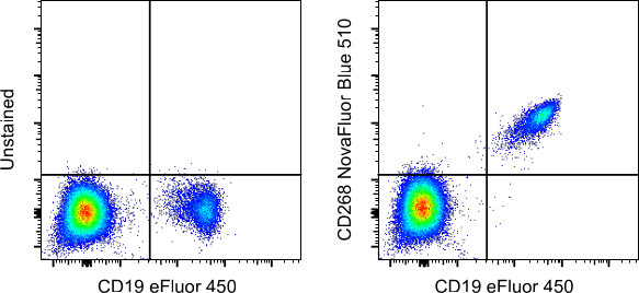 CD268 (BAFF Receptor) Antibody in Flow Cytometry (Flow)