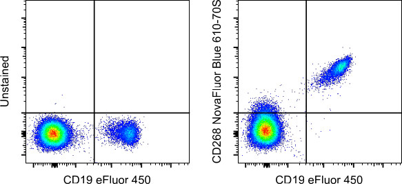 CD268 (BAFF Receptor) Antibody in Flow Cytometry (Flow)