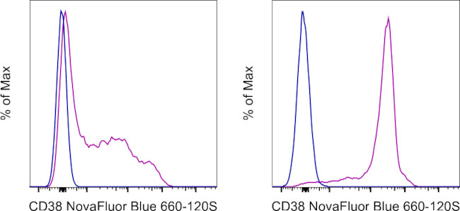 CD38 Monoclonal Antibody (HB7), NovaFluor™ Blue 660-120S (H082T03B08-A)