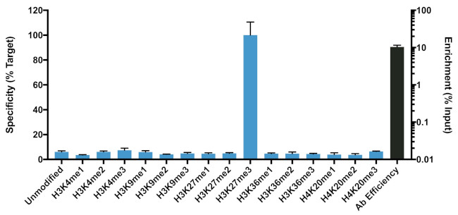 3D chromatographic fingerprint analysis of the CVM B307 by using