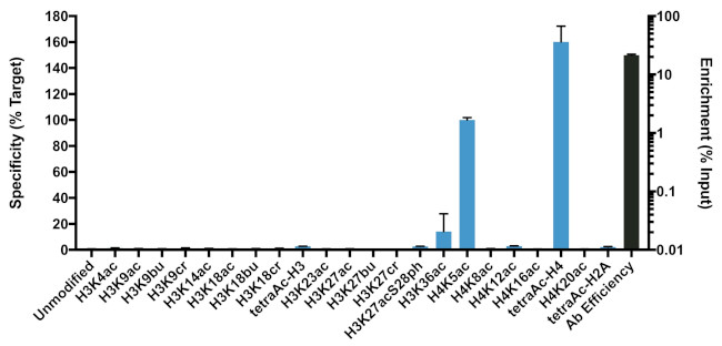 H4K5ac Antibody in ChIP Assay (ChIP)