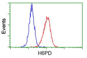 H6PD Antibody in Flow Cytometry (Flow)