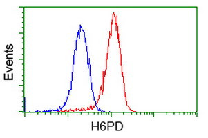 H6PD Antibody in Flow Cytometry (Flow)