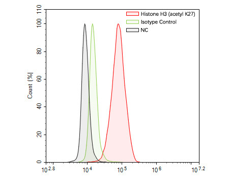 Histone H3 (acetyl K27) Antibody in Flow Cytometry (Flow)