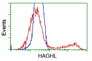 HAGHL Antibody in Flow Cytometry (Flow)