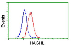 HAGHL Antibody in Flow Cytometry (Flow)