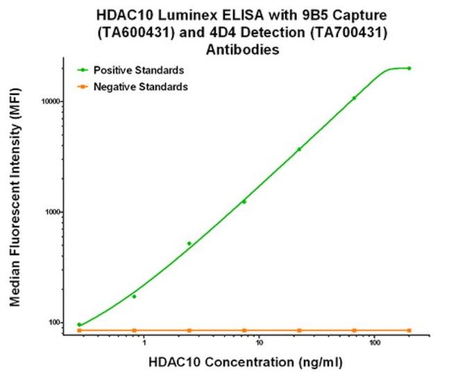 HDAC10 Antibody in Luminex (LUM)