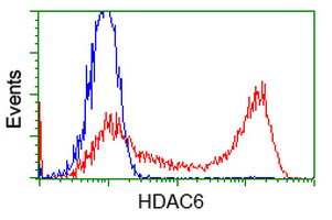 HDAC6 Antibody in Flow Cytometry (Flow)