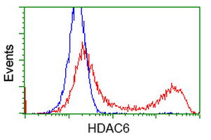 HDAC6 Antibody in Flow Cytometry (Flow)