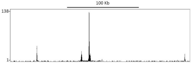 HIF2-alpha Antibody in ChIP-Sequencing (ChIP-seq)