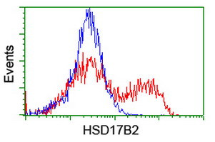 HSD17B2 Antibody in Flow Cytometry (Flow)