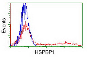 HSPBP1 Antibody in Flow Cytometry (Flow)